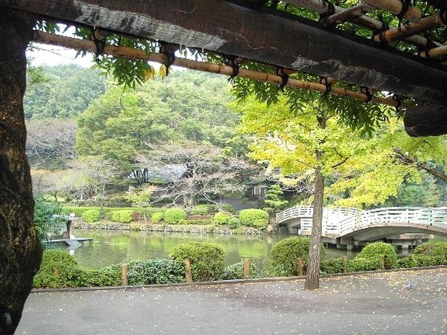 One of the ponds of Yakushi-Ike Park in Machida