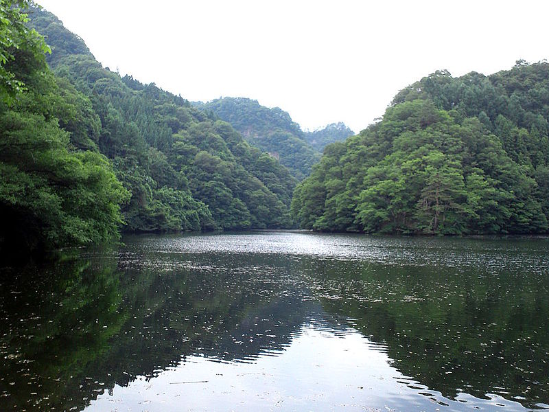 File:Yanakubo-ike Pond.jpg