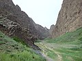 Steppe micro-climate in nearby Yolyn Am.