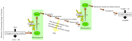 Tập_tin:Z-scheme.png