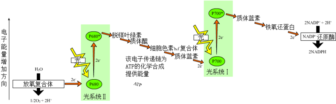 File:Z-scheme zh.png