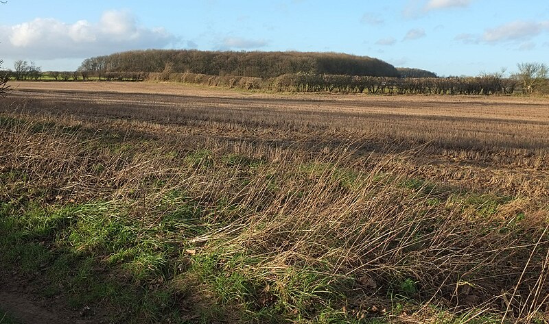 File:Zig-zagging field boundary by Braham Lane - geograph.org.uk - 4787485.jpg