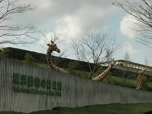 よこはま動物園ズーラシア Wikiwand