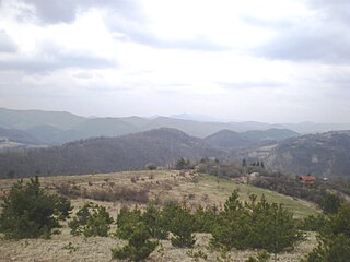 <span class="mw-page-title-main">Zavalska Planina</span> Mountain in Bulgaria