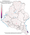 Azerbajdzjanernas bosättning i södra federala distriktet och norra Kaukasus federala distrikt efter tätorts- och landsbygdsbosättningar i %, 2010 års folkräkning