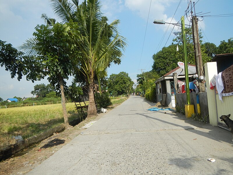 File:02006jfPinagbarilan Matangtubig Welcome Roads Baliuag Bulacan Roadfvf 22.JPG