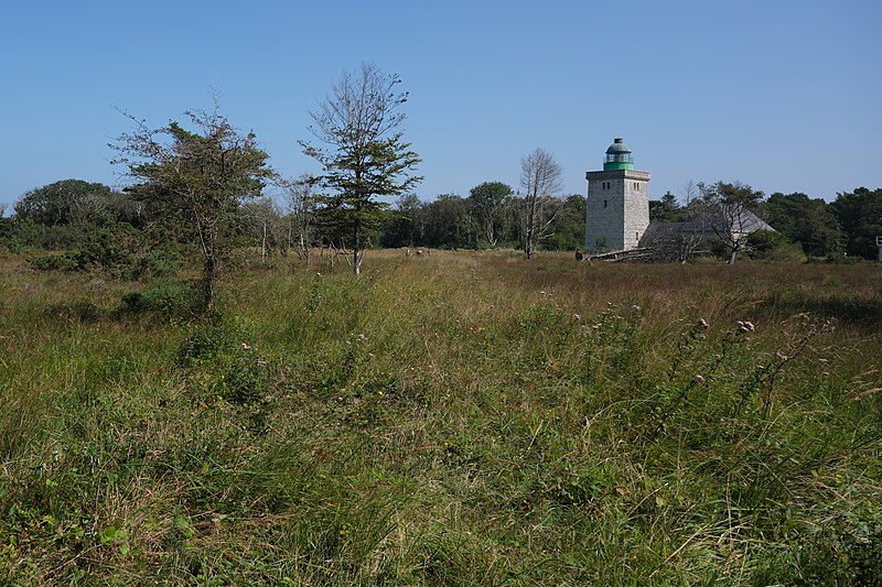 File:02 NOR - Seine-Maritime - Sainte-Marguerite-sur-Mer - Phare d'Ailly (2021-09-02 14-25-36).jpg