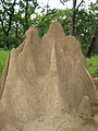 0828 termite mound (3049726572).jpg