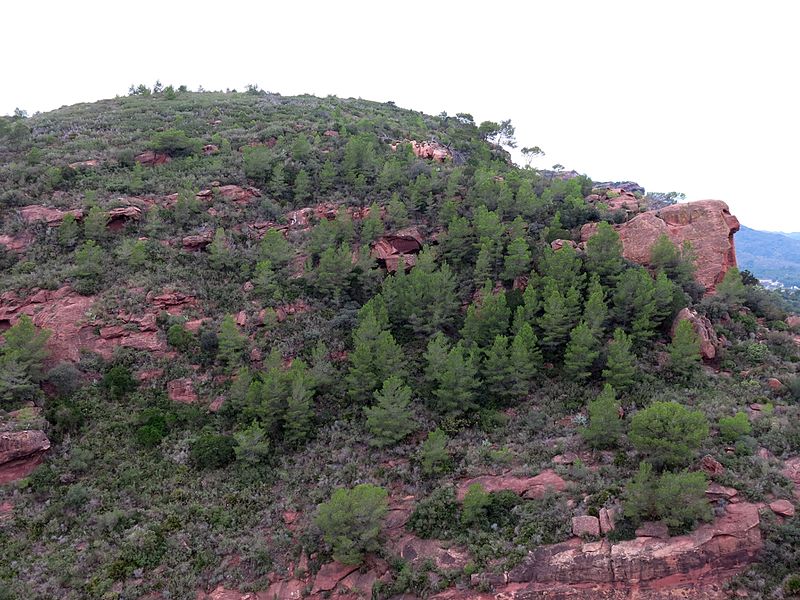 File:133 L'Areny des de l'ermita de Sant Ramon (Mont-roig del Camp).JPG