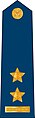 15.CzAF-LTCOL- (podplukovník) .jpg