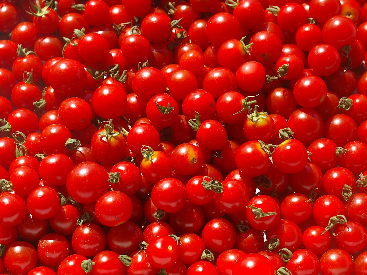 2010-07-18 Cherry tomato.jpg