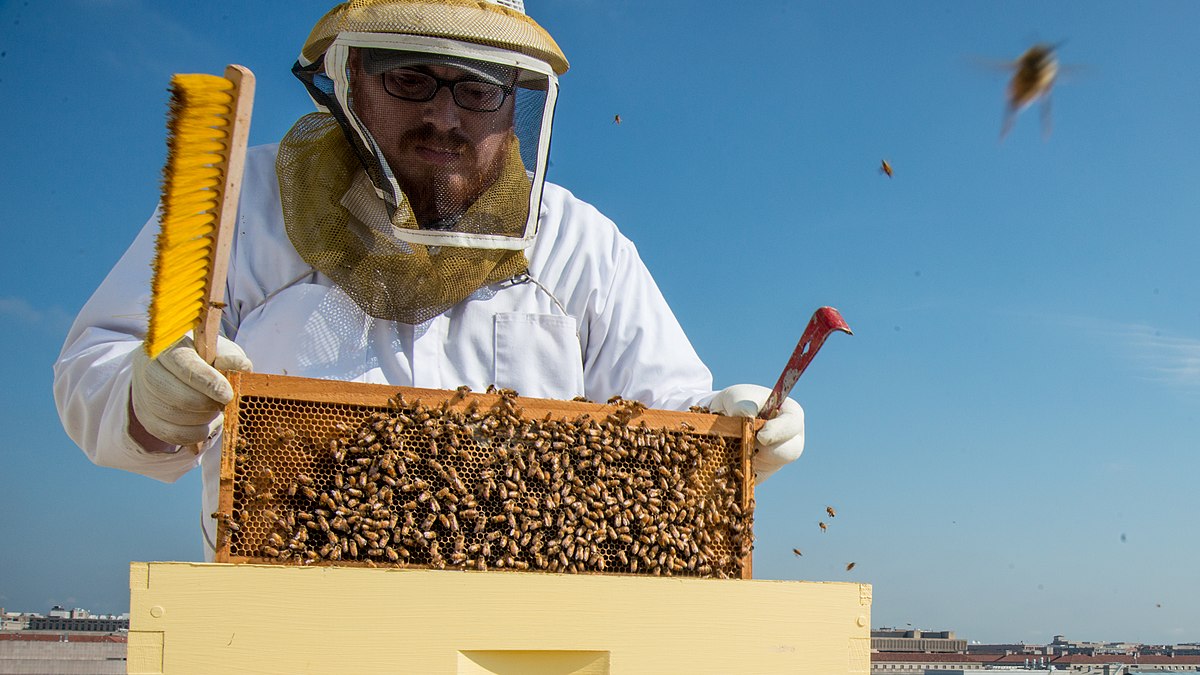 Beekeeper - Wikipedia