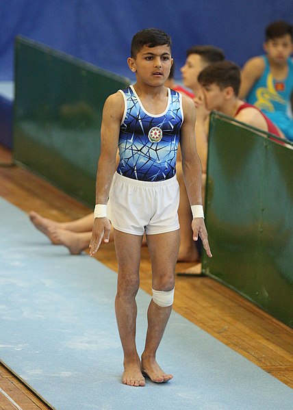 File:2019-05-25 Budapest Cup age group III all-around competition vault (Martin Rulsch) 291.jpg