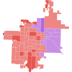 2020 Lubbock Mayoral election.svg