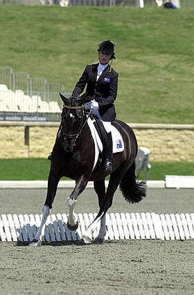 Image illustrative de l’article Berdea/Équitation handisport