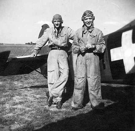 Members of the Royal Hungarian Air Force (MKHL) next to a CR.32, 1943