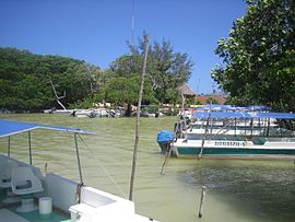 Boat moorings in Celestún