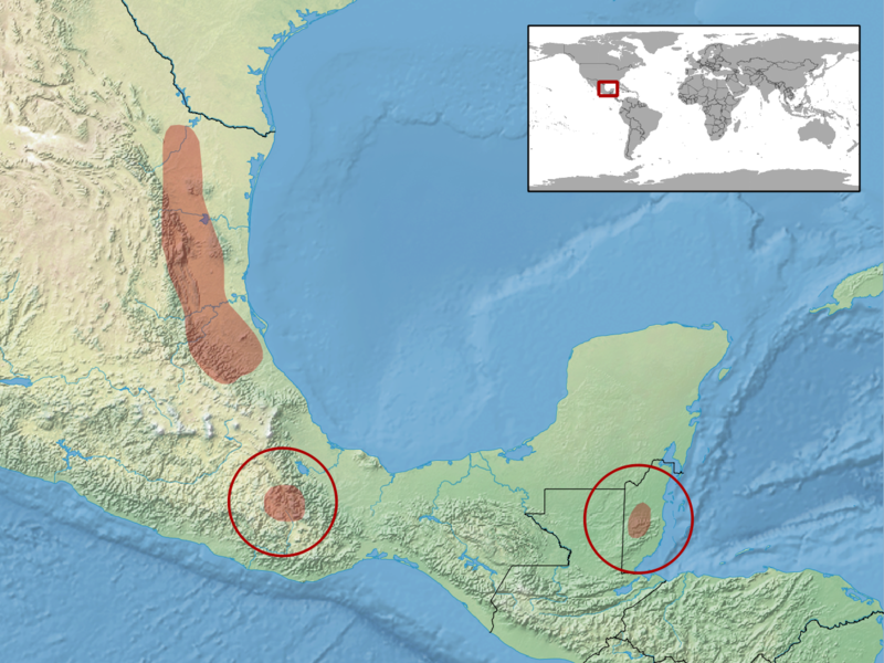 File:Adelphicos quadrivirgatum distribution (IUCN).png