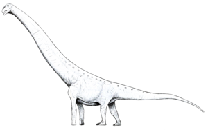 Aegyptosaurus LM.png