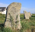 Alignements du Gueldro, vue partielle 7