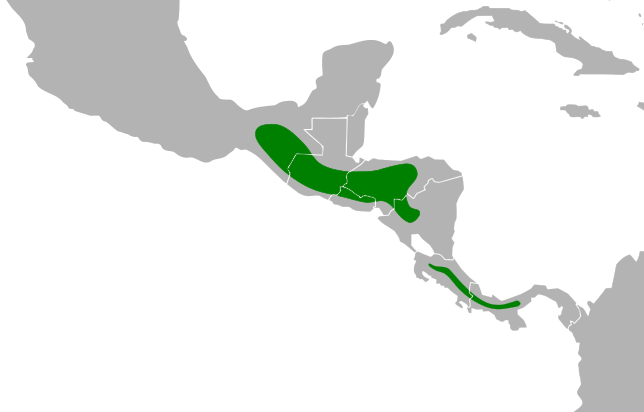 File:Amaurospiza concolor map after split with aequatorialis.svg