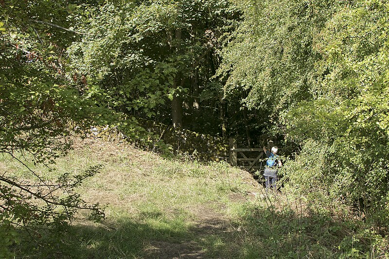 File:Another gate across the footpath - geograph.org.uk - 5870178.jpg