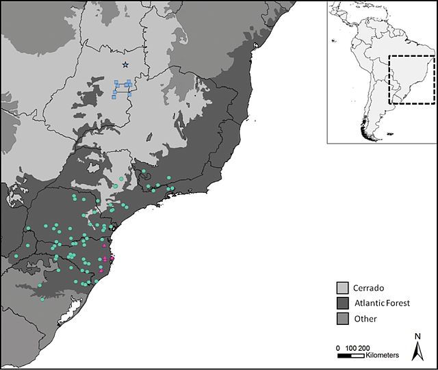 Os quadrados azuis correspondem à distribuição geográfica e a estrela indica o local onde o tipo foi coletado