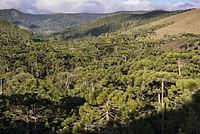 Campos do Jordão State Park