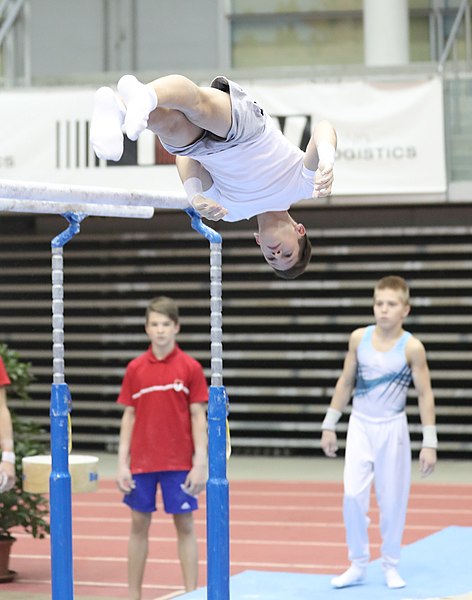 File:Austrian Future Cup 2018-11-23 Training Afternoon Parallel bars (Martin Rulsch) 0687.jpg