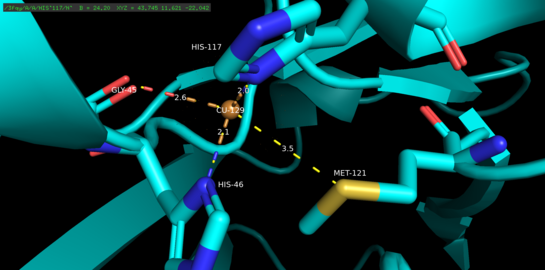 The copper binding domain of azurin rendered in PyMol, with four of the five copper-binding ligands labeled. The distance (in angstroms) from the copper atom to each individual ligand has been recorded. Azurin copper binding domain.png