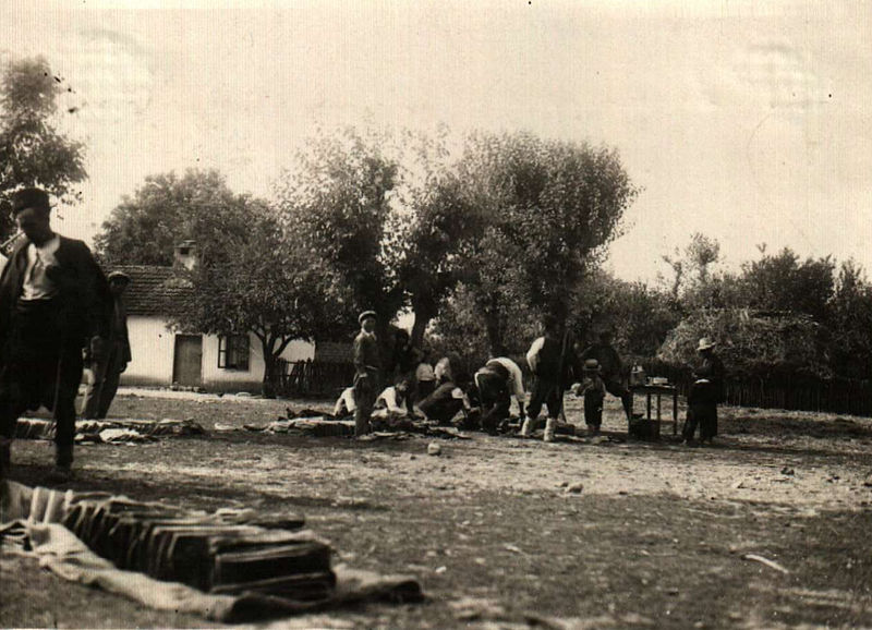 File:BASA-2072K-1-365-29-Market in Bulgaria.JPG