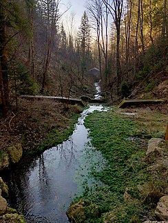 Bachrunzelbach.jpg