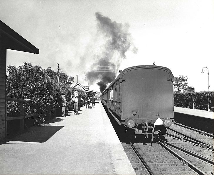 File:Balgownie (Fairy Meadow) railway station 1954.jpg
