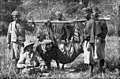Tim pemburu yang dipimpin Baron Oscar Vojnich membunuh harimau bali, November 1911.