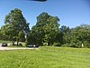 Grove of trees at the sheepfold.jpg