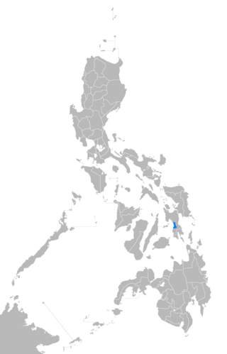 <span class="mw-page-title-main">Baybay language</span> Bisayan language spoken in the Philippines