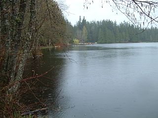 <span class="mw-page-title-main">Beaver Lake (King County, Washington)</span> Body of water