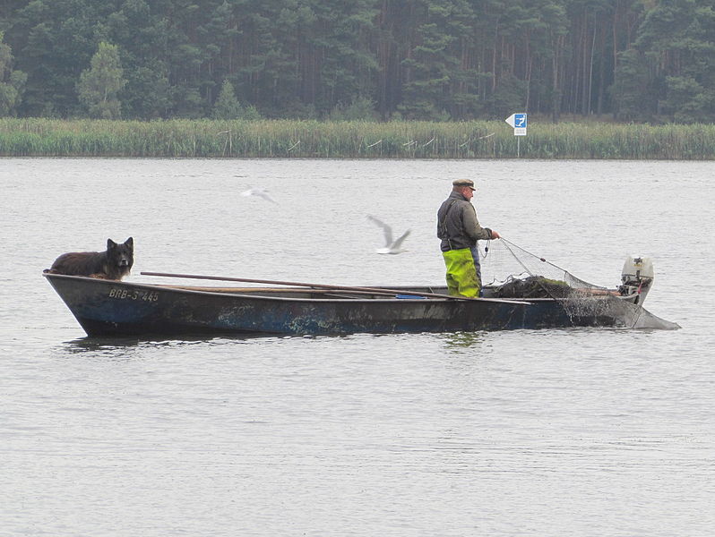 File:Berufsfischerhavelsee.JPG