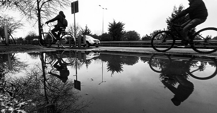 Reflections in a pond, Milan, Italy, 2023