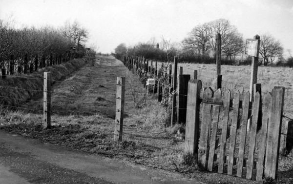 Site of Blean & Tyler Hill Halt in 1963