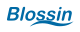 Blossin-Logo.svg
