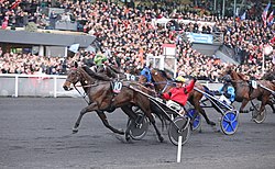 Bold Eagle Prix dAmerique 2016.jpg