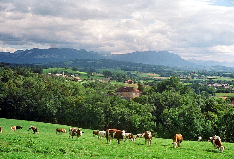 File:Boussy vu de Contentenaz.jpg