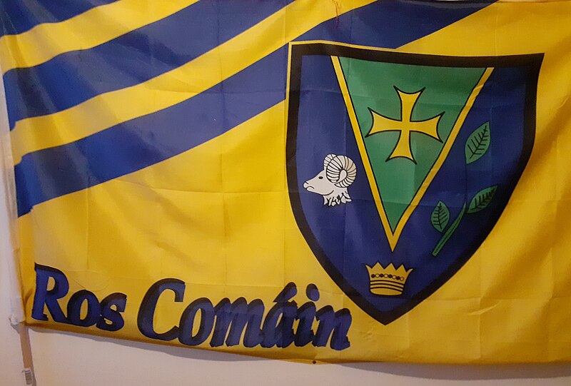 File:Bratach Ros Comáin Roscommon flag.jpg