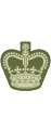 Warrant officer class 2 (Antigua and Barbuda Regiment)[47]