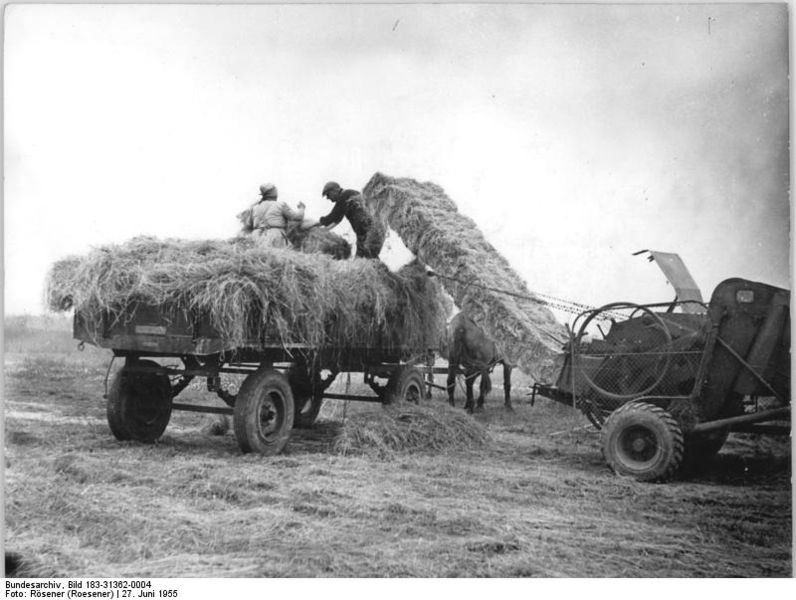 File:Bundesarchiv Bild 183-31362-0004, Biederik, Heuernte, Presse.jpg