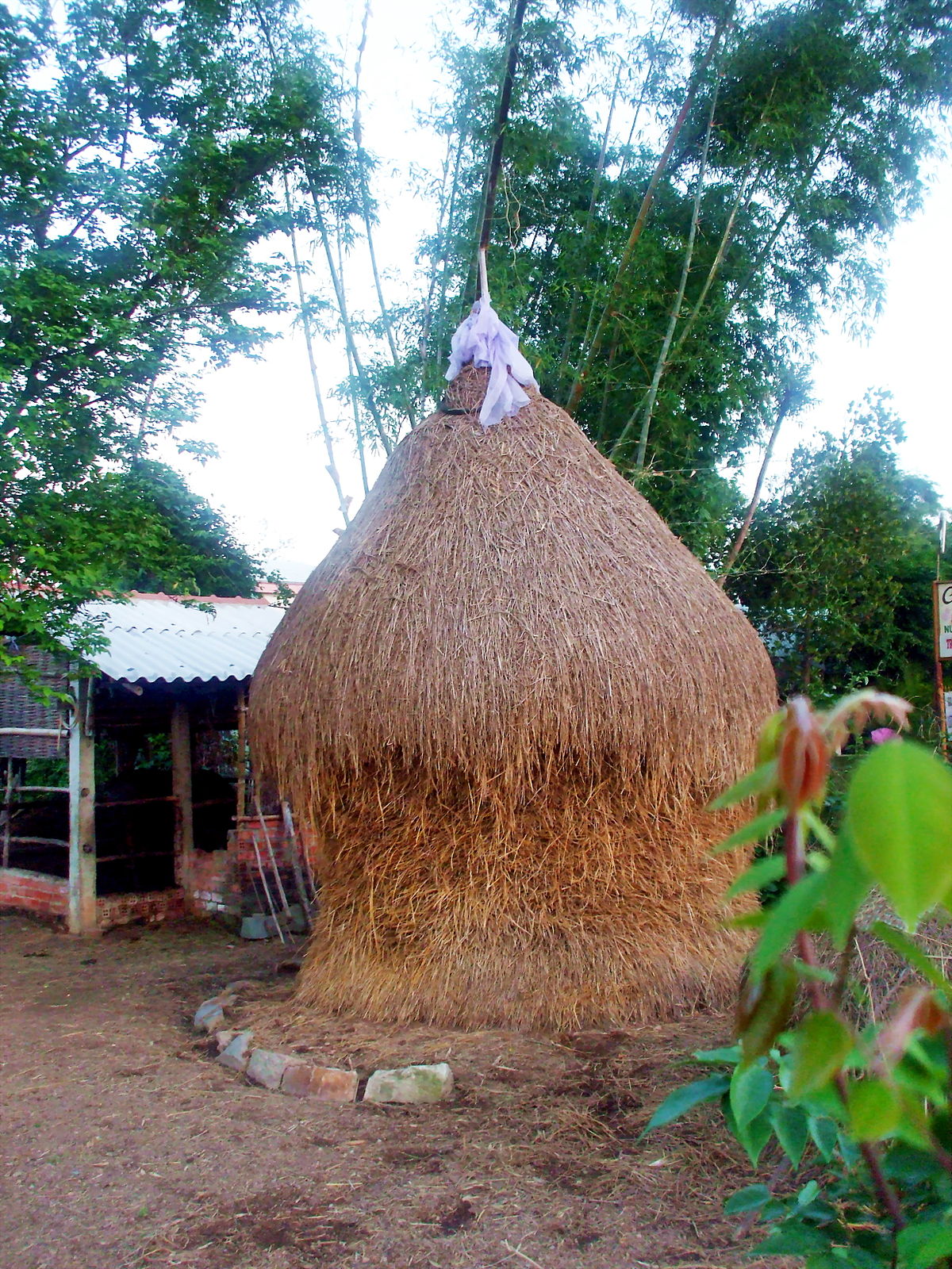 Đụn Rơm Là Gì?