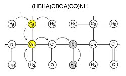 CBCACONH experiment.JPG