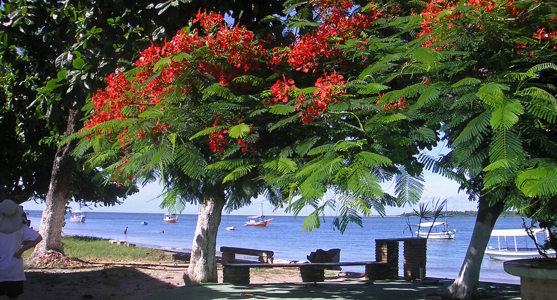 Vera Cruz (Bahia)