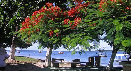 Vera Cruz, Bahia